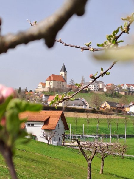 1_palz_wein_wohnen_001