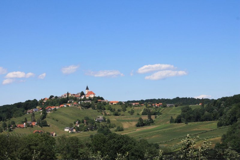 Wein_und_Wohnen_Palz_007