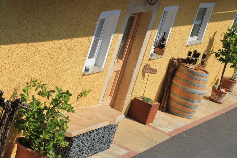 Wein_und_Wohnen_Palz_038