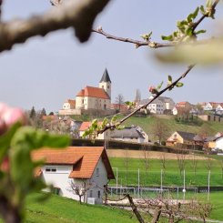 1_palz_wein_wohnen_001