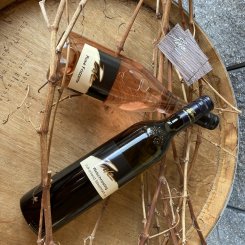 1_palz_wein_wohnen_002