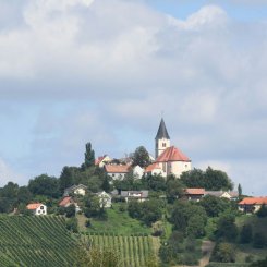 Wein_und_Wohnen_Palz_002