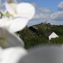 Wein_und_Wohnen_Palz_004