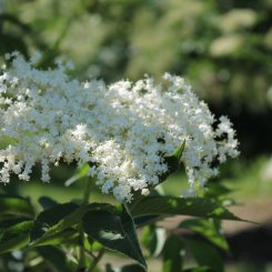 Wein_und_Wohnen_Palz_006