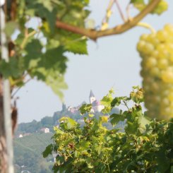 Wein_und_Wohnen_Palz_029