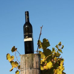 Wein_und_Wohnen_Palz_039