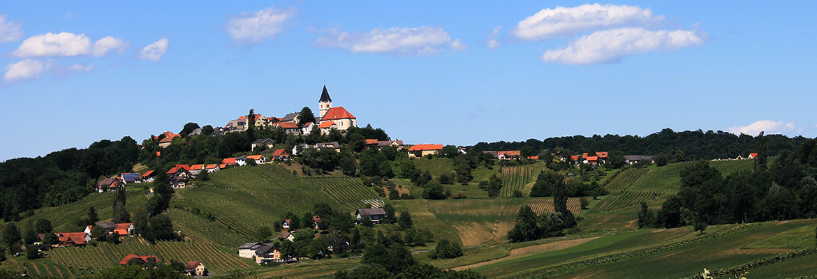 Banner_Wein_und_Wohnen_Kontakt_01.jpg