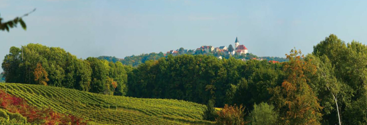 Banner_Wein_und_Wohnen_Palz_04.jpg