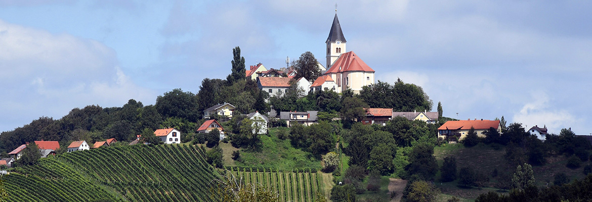 Banner_Wein_und_Wohnen_Vulkanland_01.jpg
