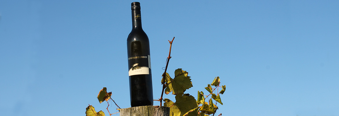 Banner_Wein_und_Wohnen_Vulkanland_03.jpg